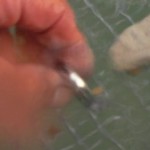 7-10-11 kiles ring photo
