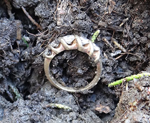 Gold and diamond wedding ring lost in East Bay back yard