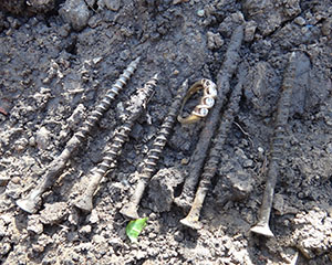 The gold wedding ring was hidden among nails and screws