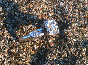 Steph's heirloom engagement ring