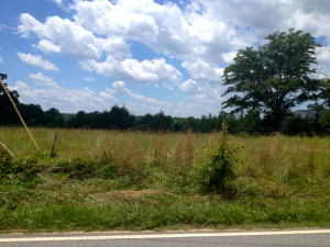 SEARCH AREA