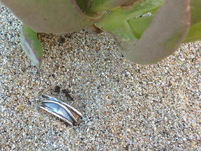 It's a very nice ring! Good thing we found it.