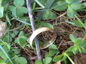 jerry's ring