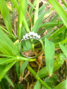 Promise ring