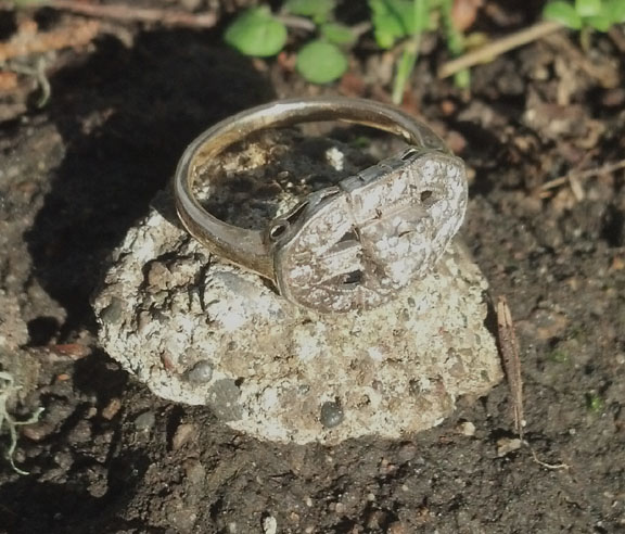 fathers ring close-up medium_edited