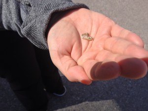 Tiny Gold Pendant