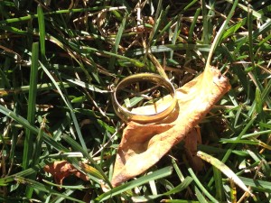 Lost Wedding Ring Recovered photo 2