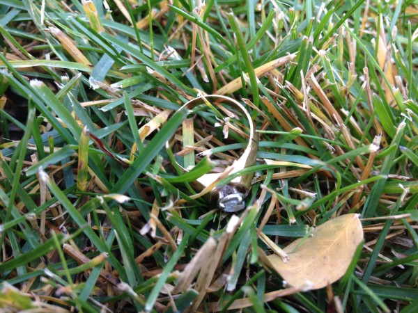 24 Karat Ring Recovered