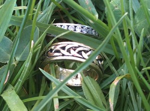 Two lost rings found in deep grass