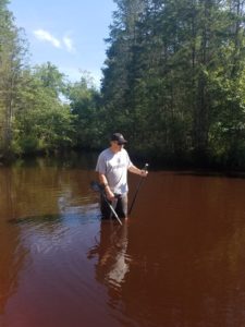 Searching the stream