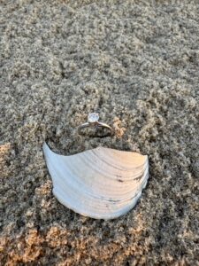 LBI ring finder