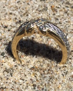 Ana's Ring 