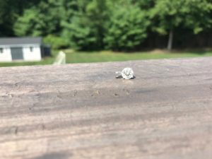 Lost Diamond Pendant