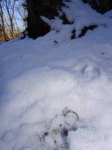 Centreville VA ring found below surface in the snow