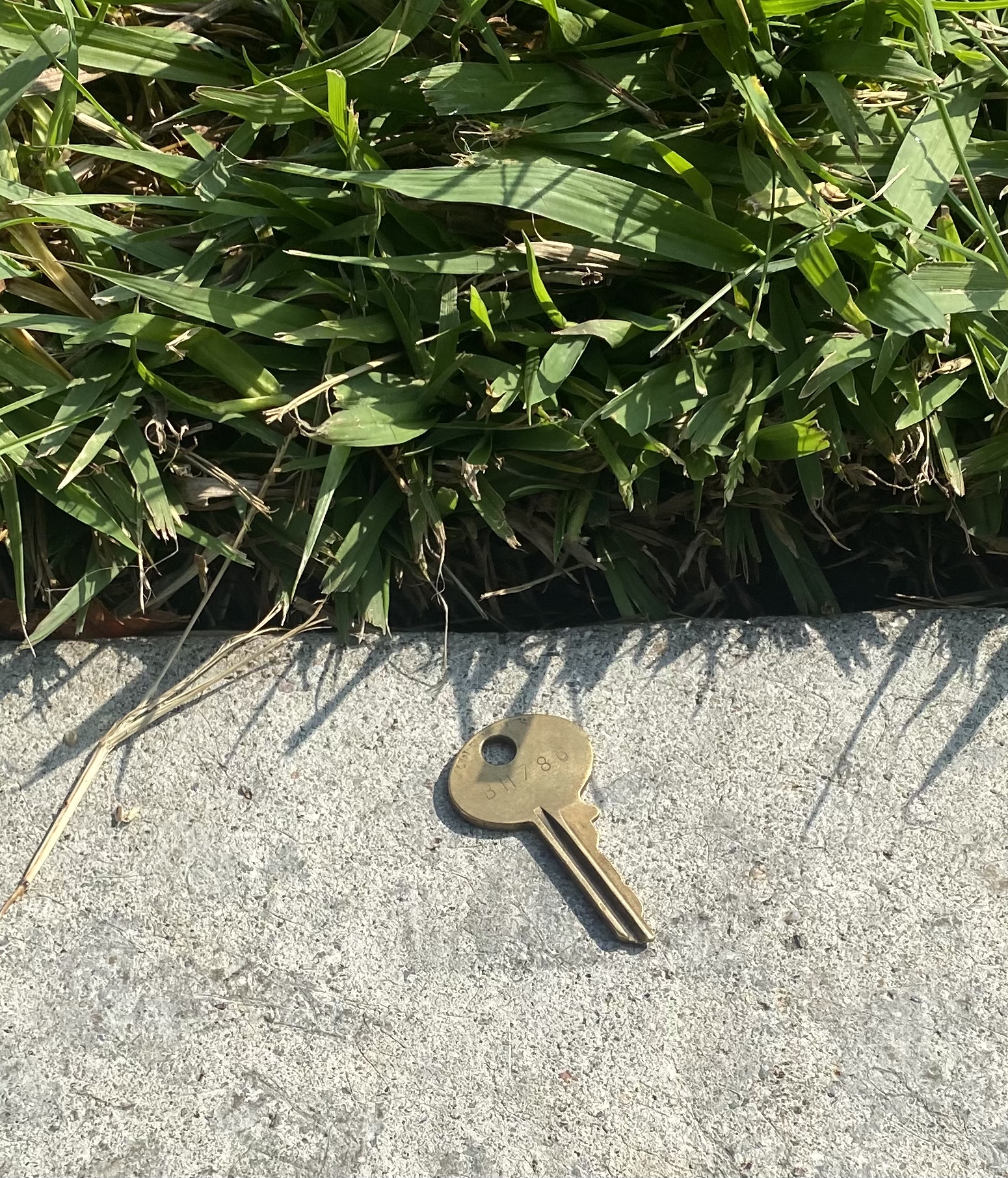 LOST MAILBOX KEY WHILE JOGGING AT UNIVERSITY OF IRVINE, IRVINE, CA