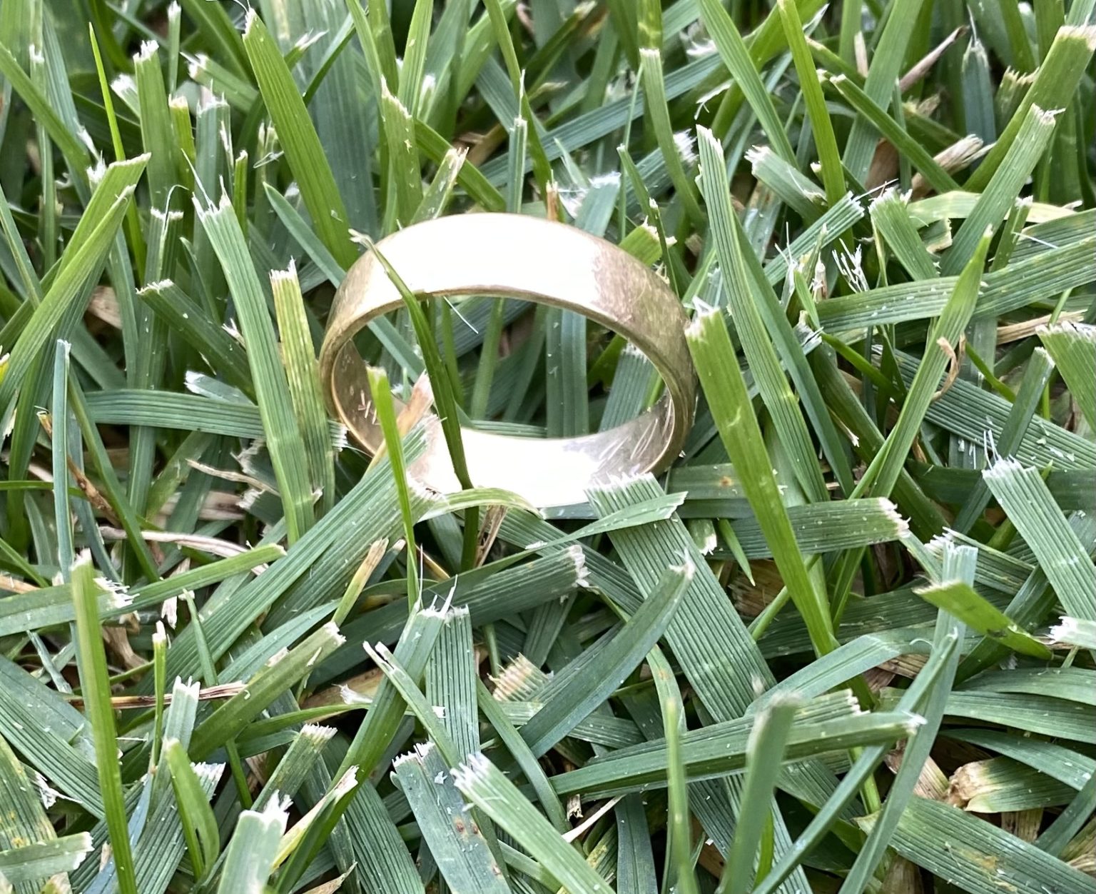 Lost Gold Wedding Ring Found In Time To Celebrate 50 Years Of Marriage