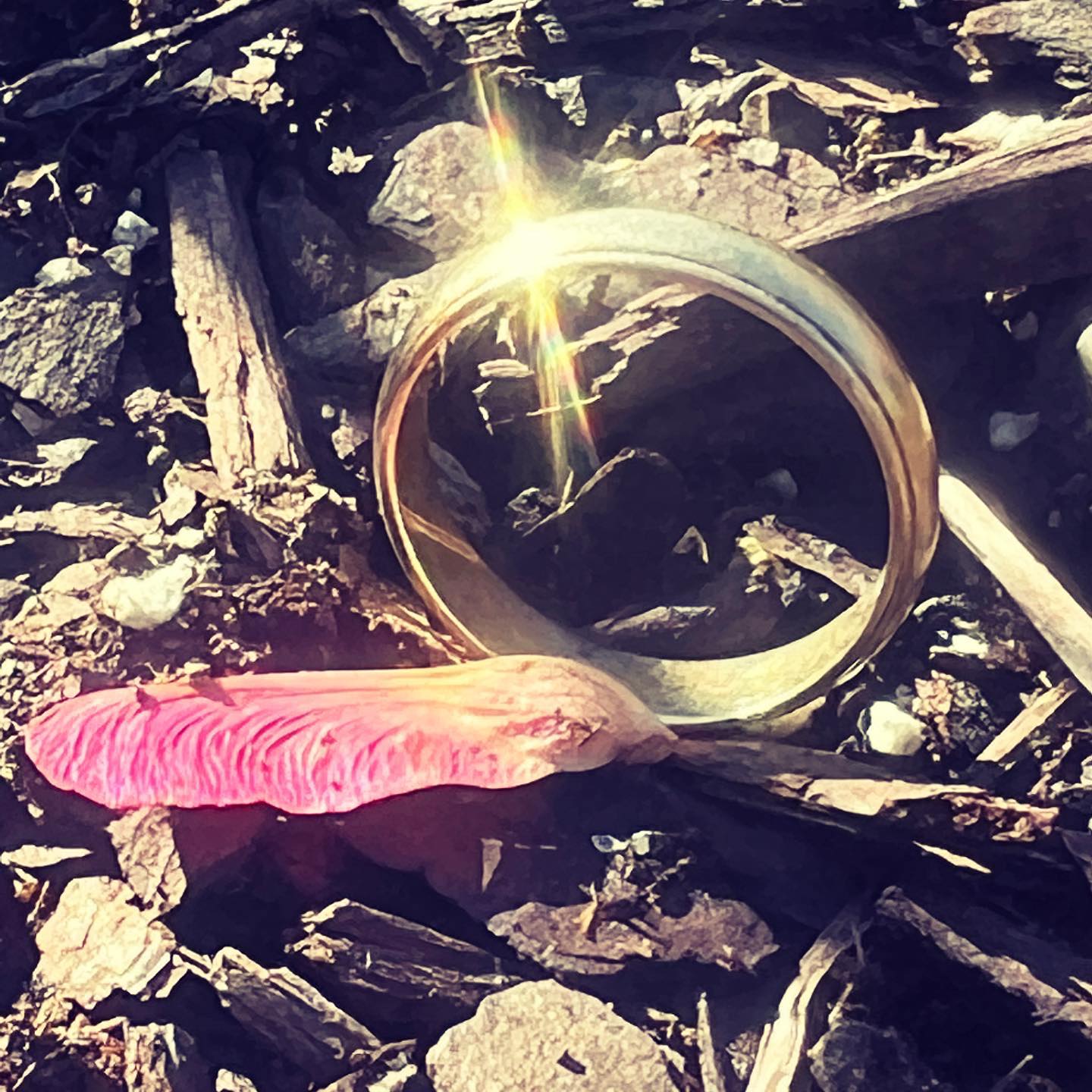 LOST GOLD WEDDING RING in HOLLY SPRINGS NC........ FOUND!!!