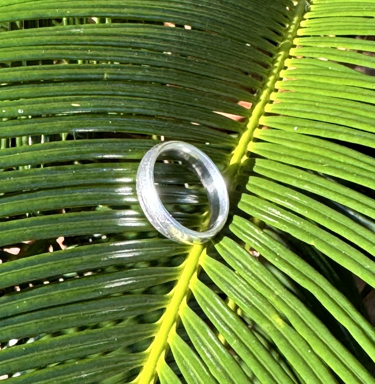 lost-wedding-ring-in-ocean-melbourne-beach-florida-found-with-a