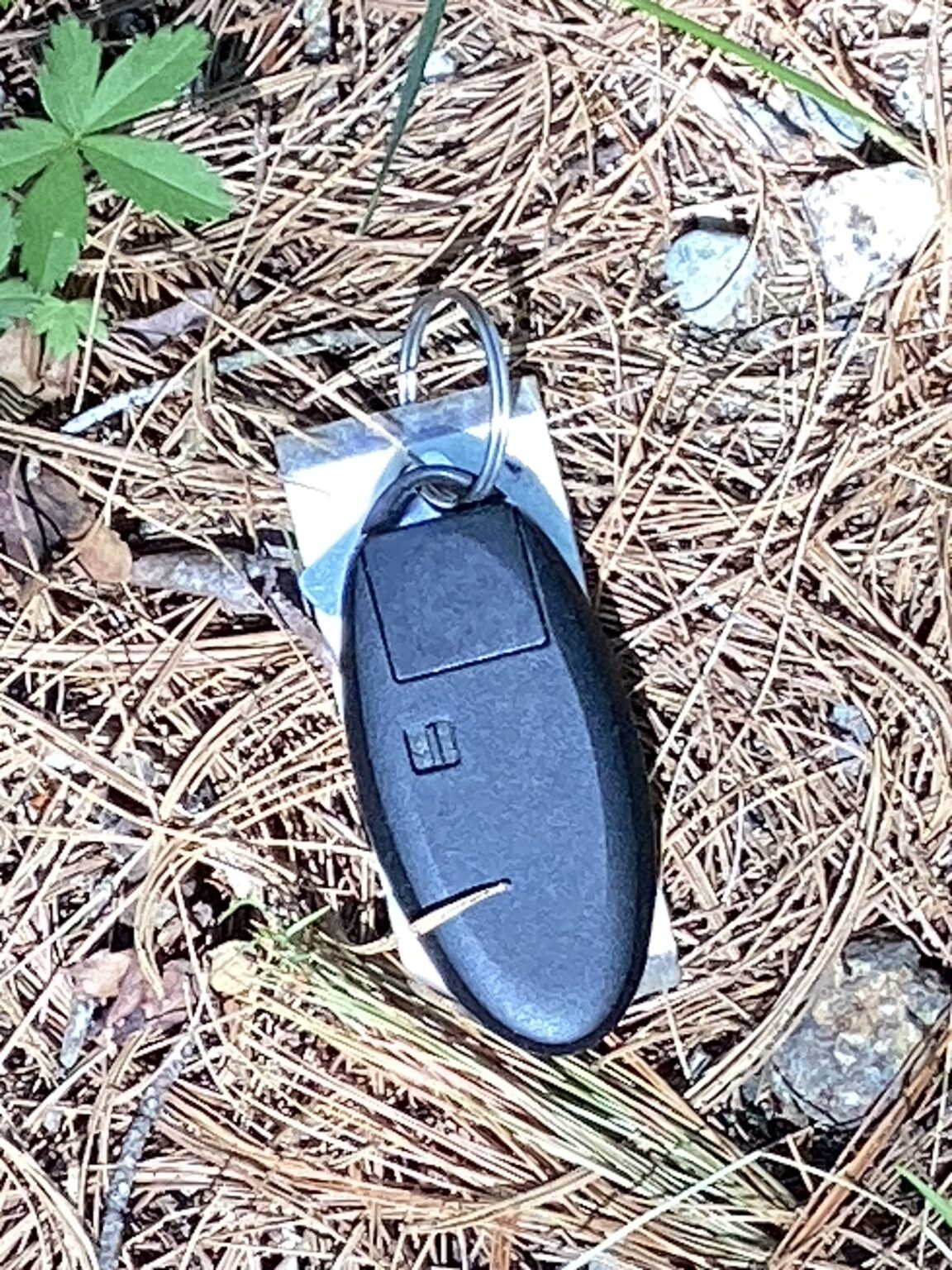 Key Fob Lost In Standish, Maine Found Visually, While Searching With A Metal Detector