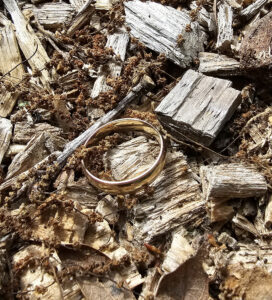 Sandwich, MA - Lost Wedding Band Found and Returned