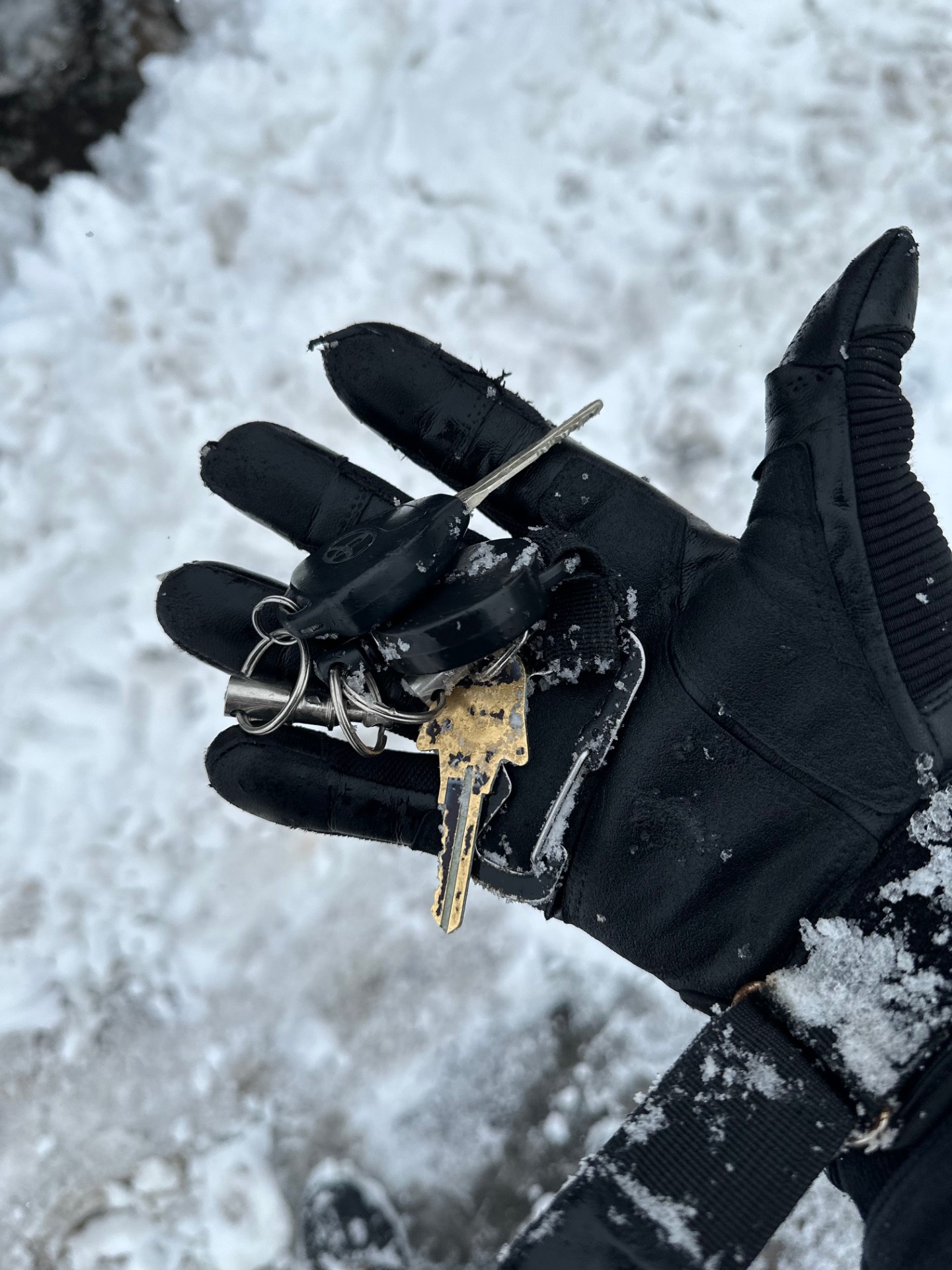 Lost Set of Keys Found After Heavy Snow- Midway, Utah