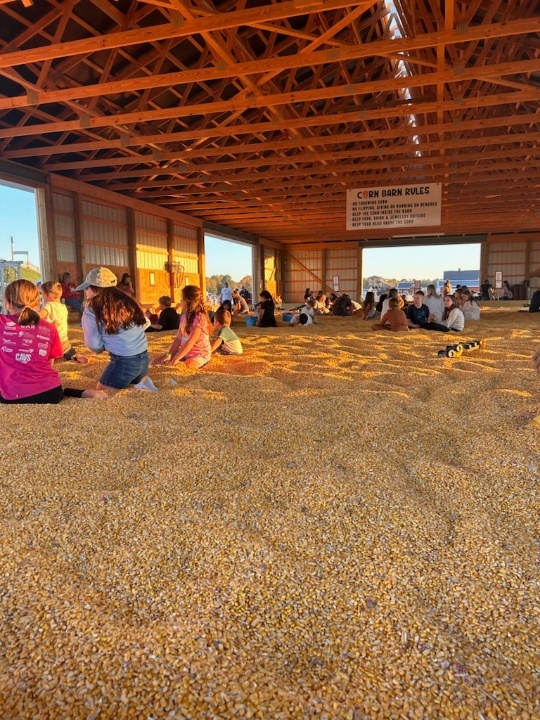 Lost Platinum Engagement Ring Found in Corn Pit in Wooster, Ohio!