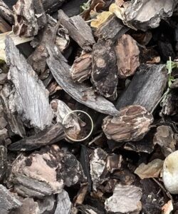 Lost wedding ring 