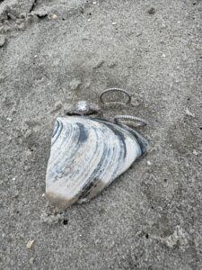 NJ ring finder recovering Rings in Cape May