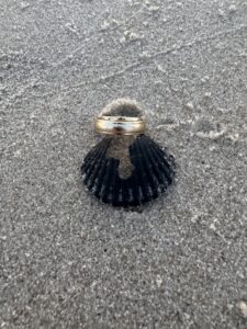 LBI metal detector and Jay Ring Finder
