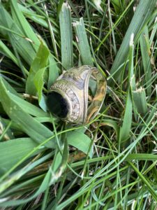 Find lost ring