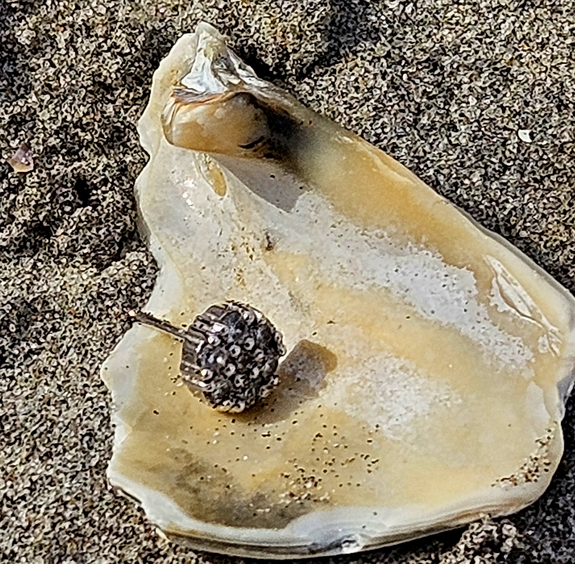 beach metal detector