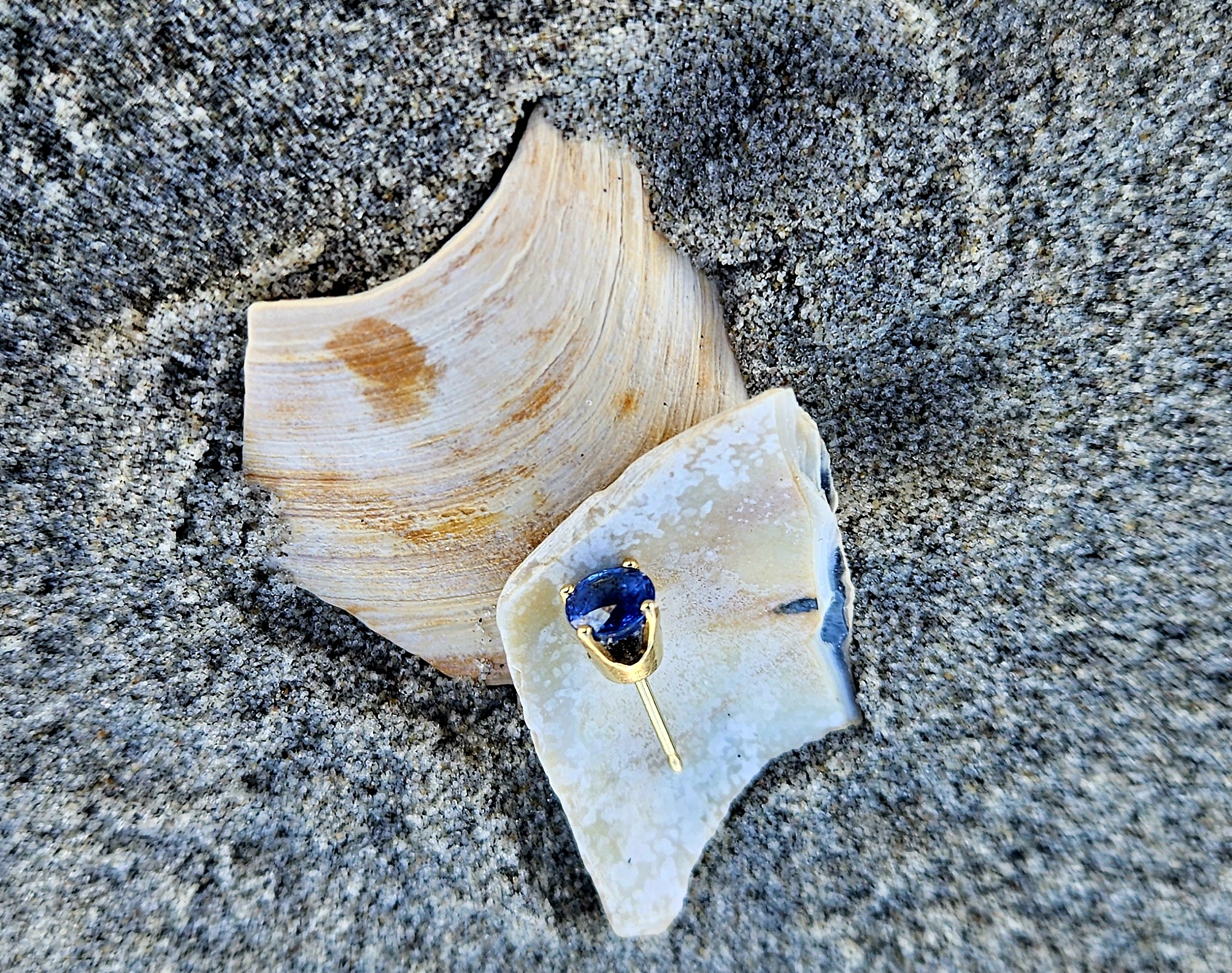 lost ring finder Avalon NJ