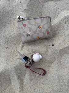 Metal detector rental