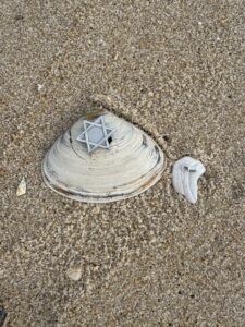 Point Pleasant Beach