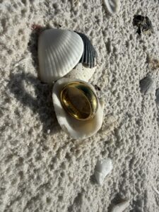Delnor-wiggins pass gold ring found